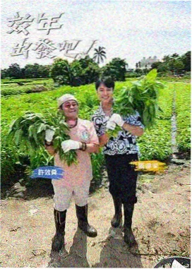 声音修理铺综艺海报